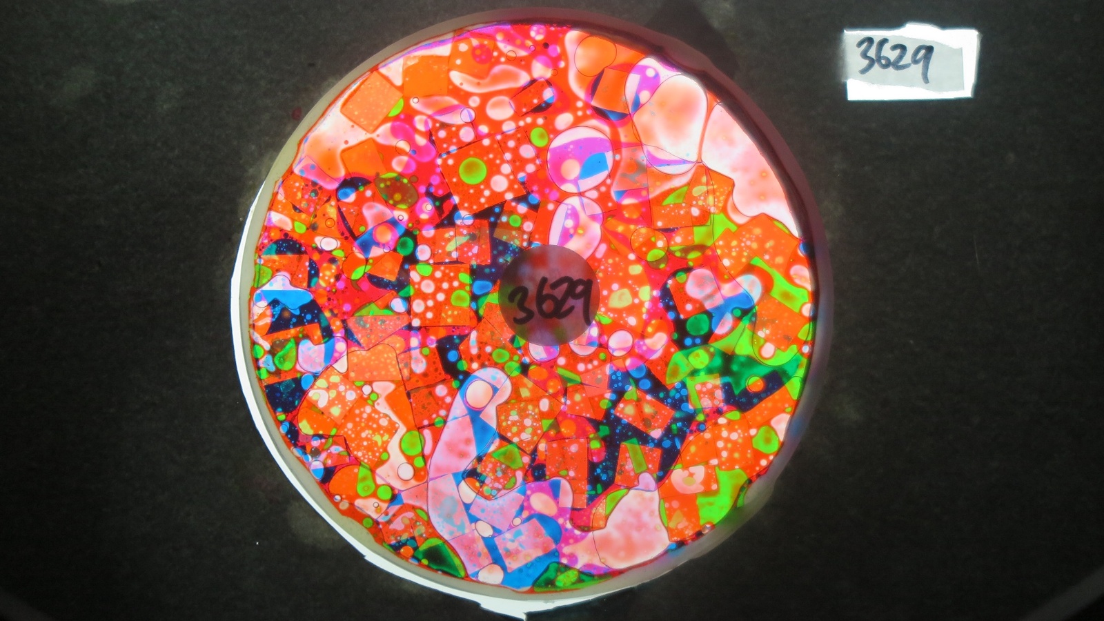 BV3629 bubble vision oil wheel